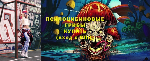 бошки Инта